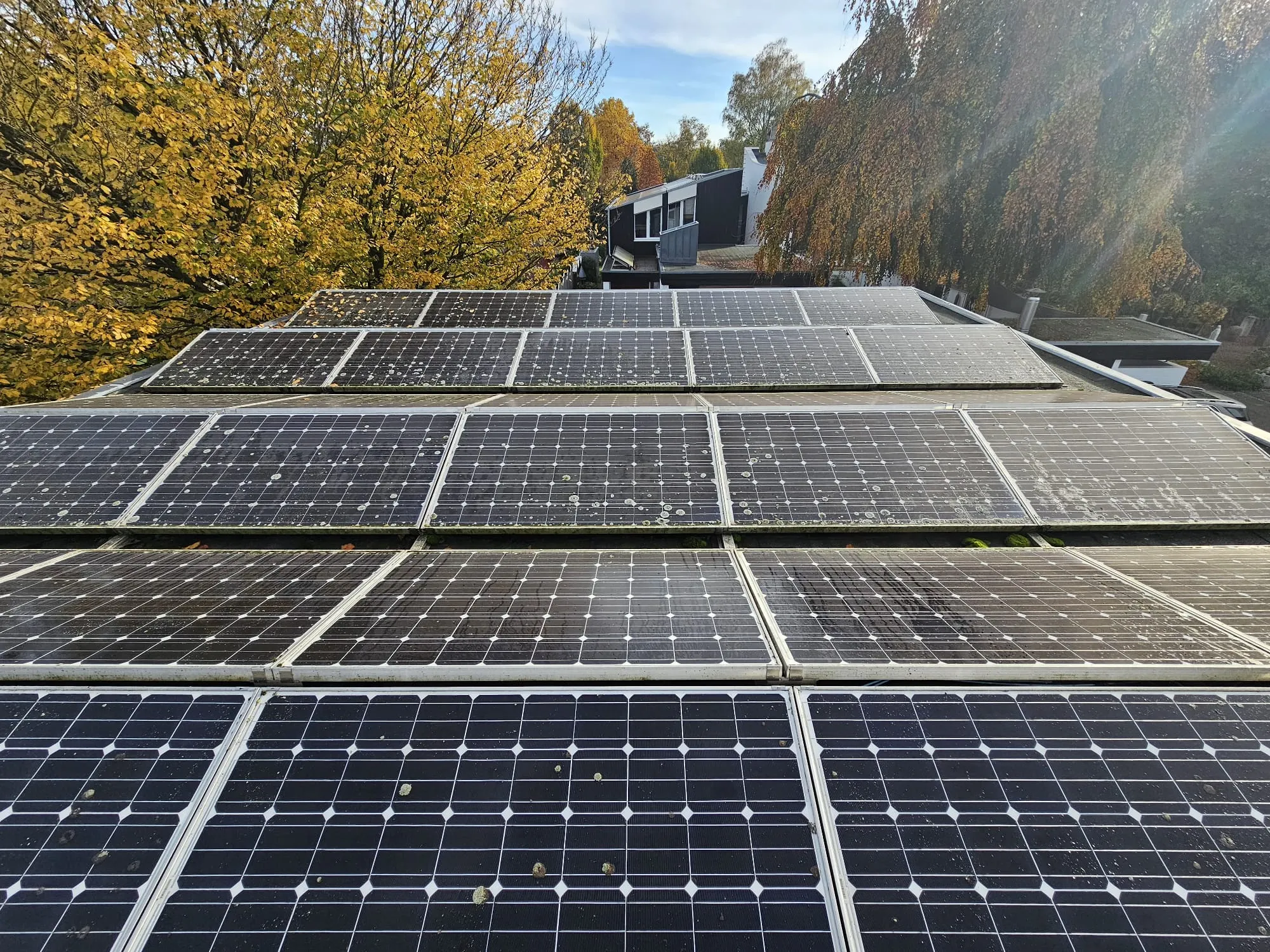 Mit Moos und Dreck bedeckte PV Module